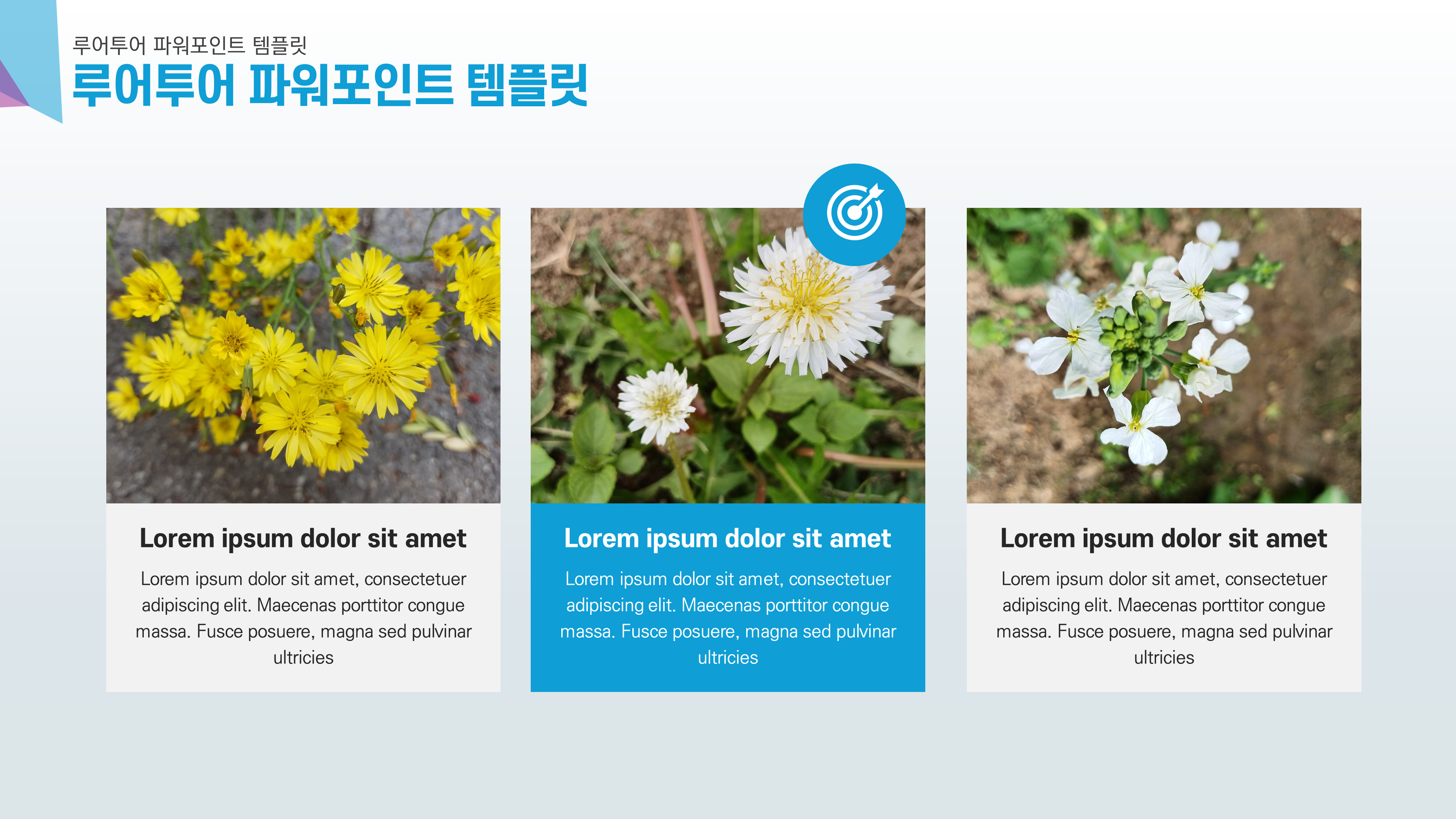 984 깔끔한 ppt 배경- 제안서 발표용 과제 등 다용도 활용 피피티 양식(5p 구성) - 상세 이미지 5