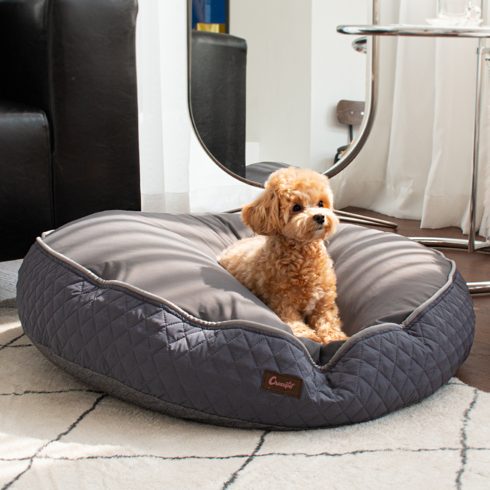 초코펫 강아지방석 쿠션 사계절 우주방석 2.0 소형