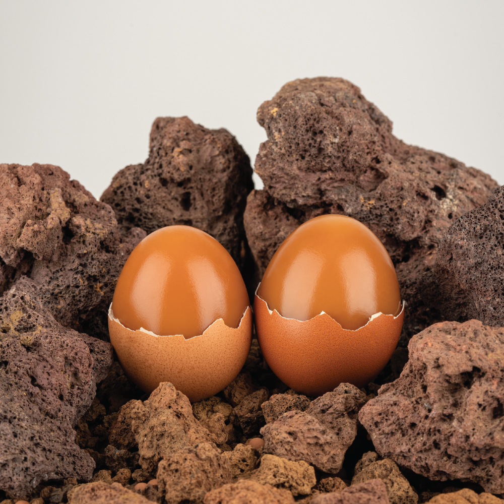 제주 무항생제 쫄깃 탱탱 화산석 구운란 30구 40구 60구 실속형 에어포장