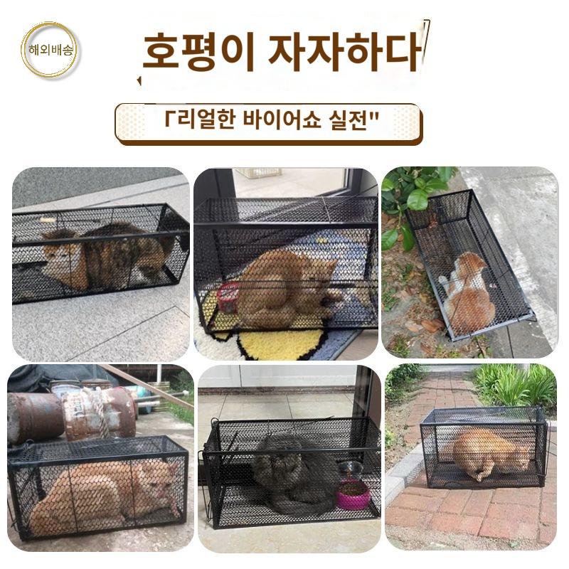 고양이망 너구리 사이즈 자동 포획장비  고양이 야생동물 케이지 : 리치파트너스 1