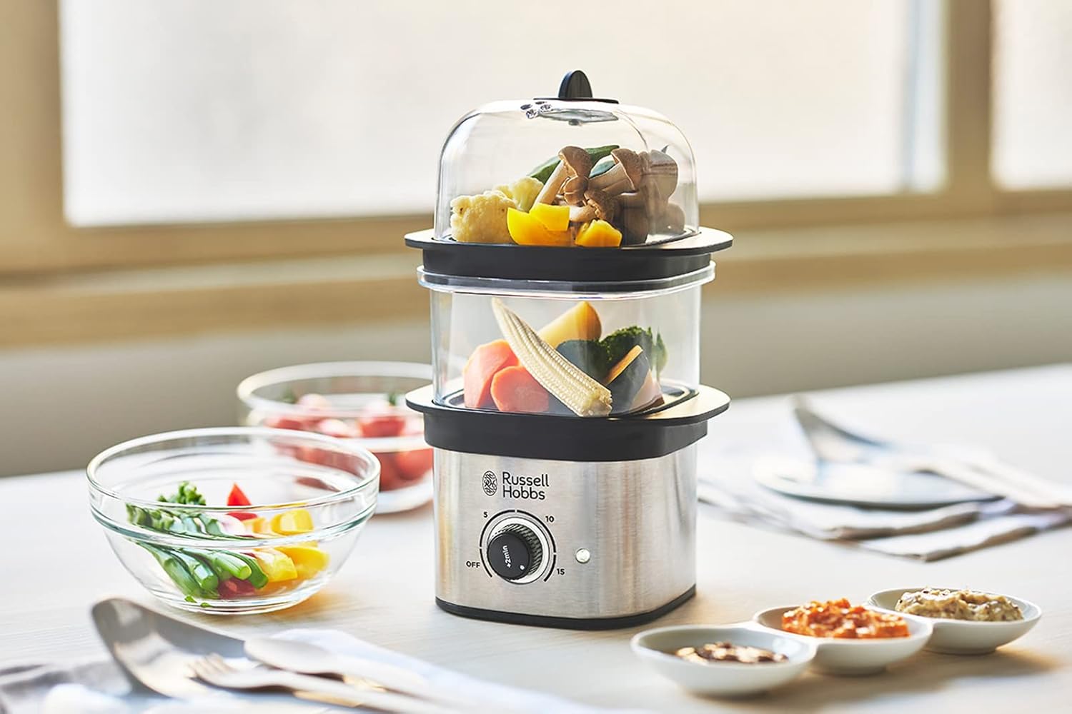 러셀 홉스 RussellHobbs 퀵 미니 가정용 전기 스티머 3000JP