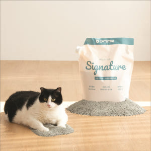 캣츠태그 묘래시그니처 고양이모래 벤토나이트 8kg 1개 와이오밍 솔직 후기 | 실제 사용자 리뷰 총정리 - 상품 이미지 1