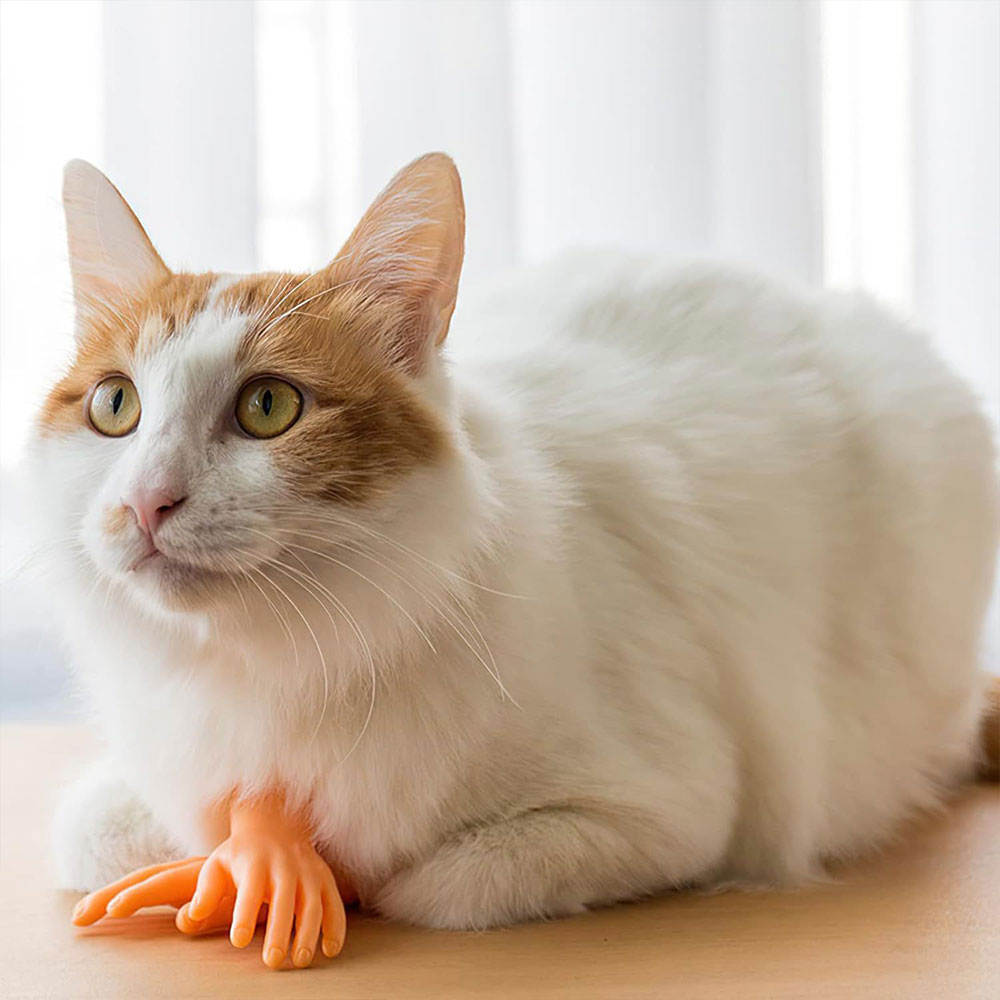 크레용펫 고양이 손가락 장난감 마사지 촬영 소품 - 상세 이미지 2