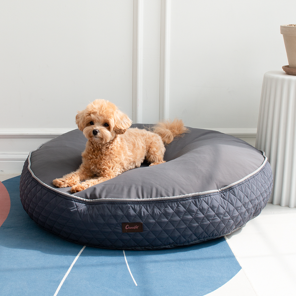 초코펫 강아지방석 쿠션 사계절 우주방석 2.0 소형