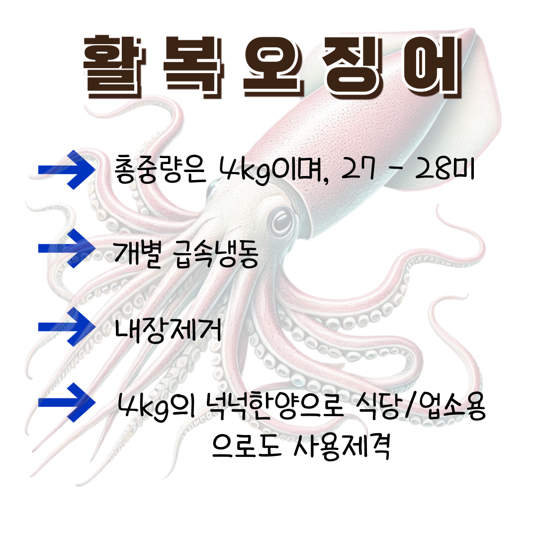 할복오징어 활복 냉동손질오징어 선동 활복 4kg 벌크형 무탈피 25~28미 - 상세 이미지 2