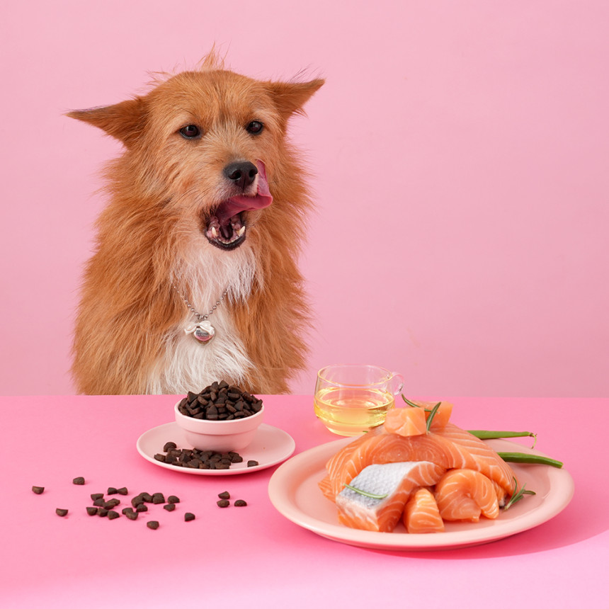 본아페티 강아지 기능성 소프트사료 피부+알러지, 1kg, 1개 사진 2