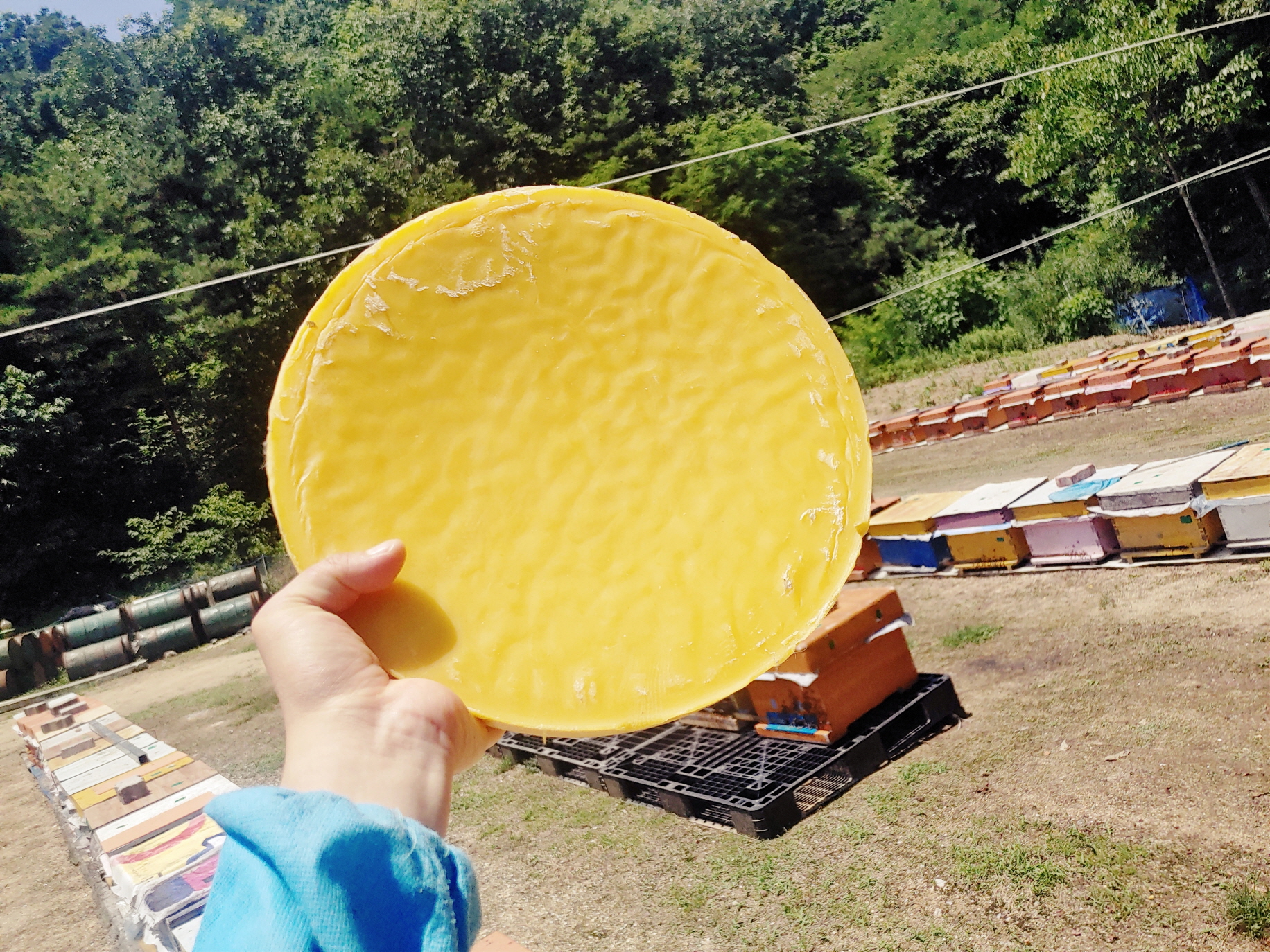 국산 프리미엄 천연밀랍 500g 비정제 비즈왁스 캔들 까눌레 립밤 밀랍랩 화장품 재료 - 상세 이미지 4