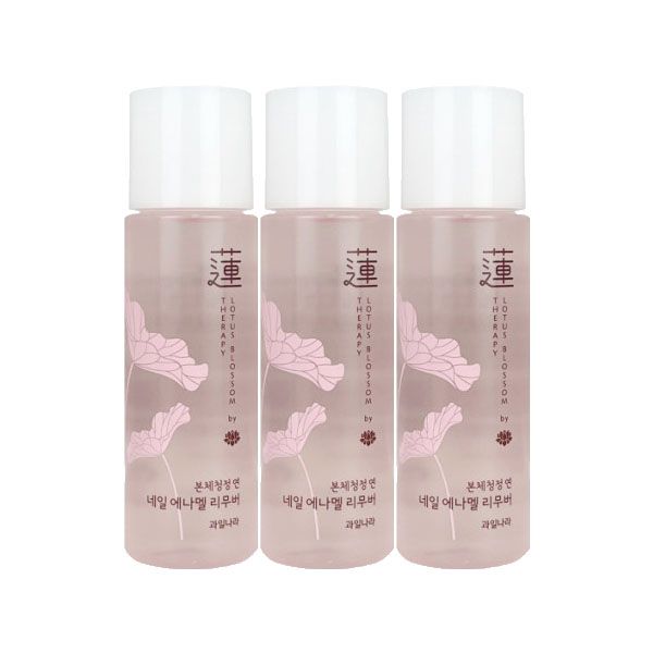 과일나라 본체청정연 네일리무버 리뉴얼 100ml x 3개 : 에코제이몰