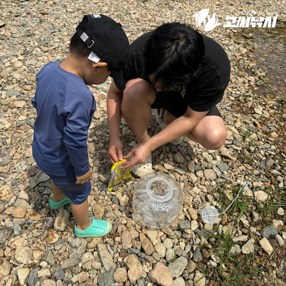 고씨낚시 4구 어포기 투명 채집 어항 계곡 통발 민물 물고기 낚시 잡기 어망 - 상세 이미지 5