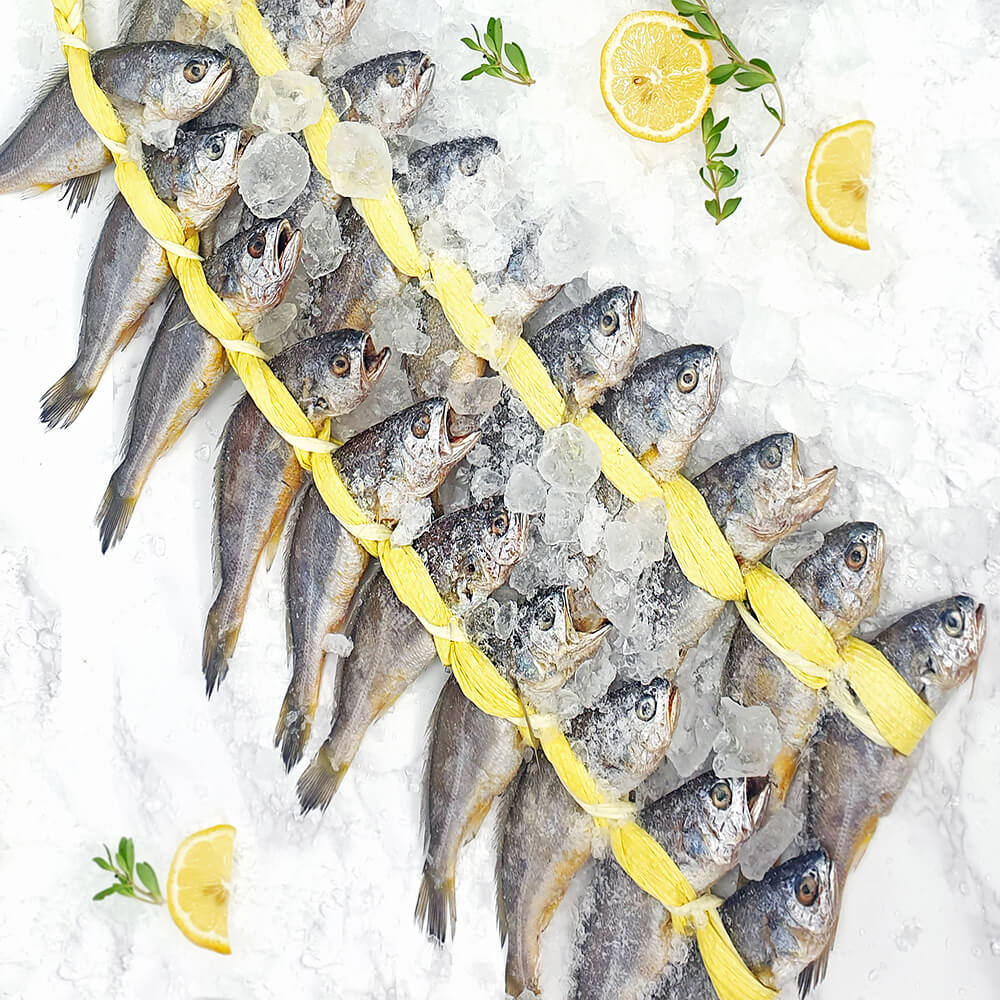 영광 굴비 법성포 가정용 20마리 프리미엄 선물세트