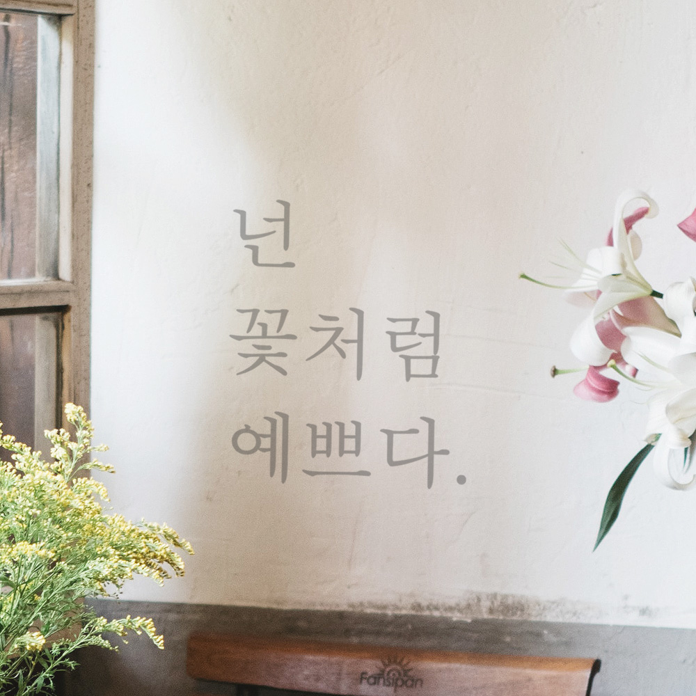인테리어 포인트 감성 문구 레터링 스티커 넌 꽃처럼 예쁘다 L-040S 검정 - 상세 이미지 3