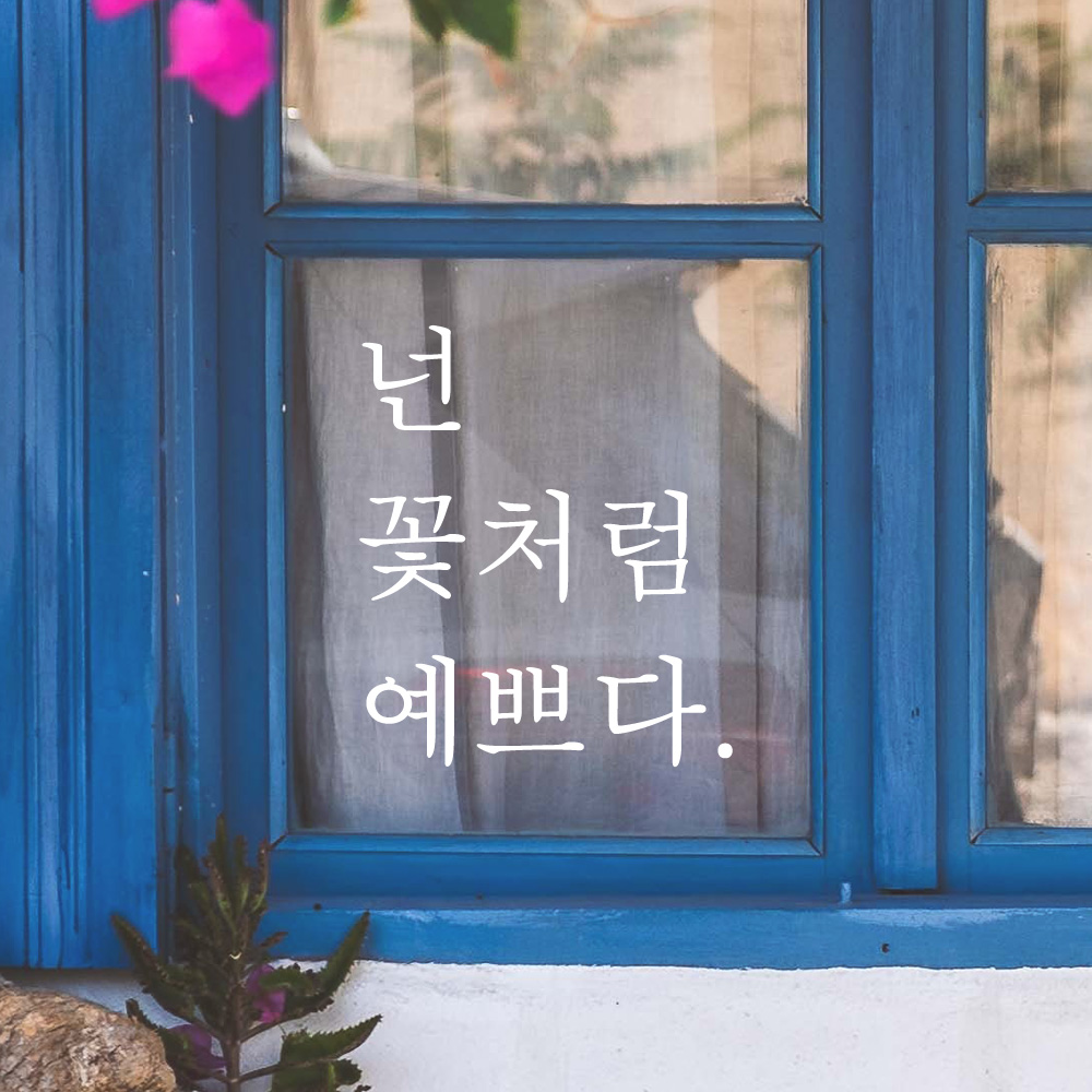 인테리어 포인트 감성 문구 레터링 스티커 넌 꽃처럼 예쁘다 L-040S 검정 이미지 6
