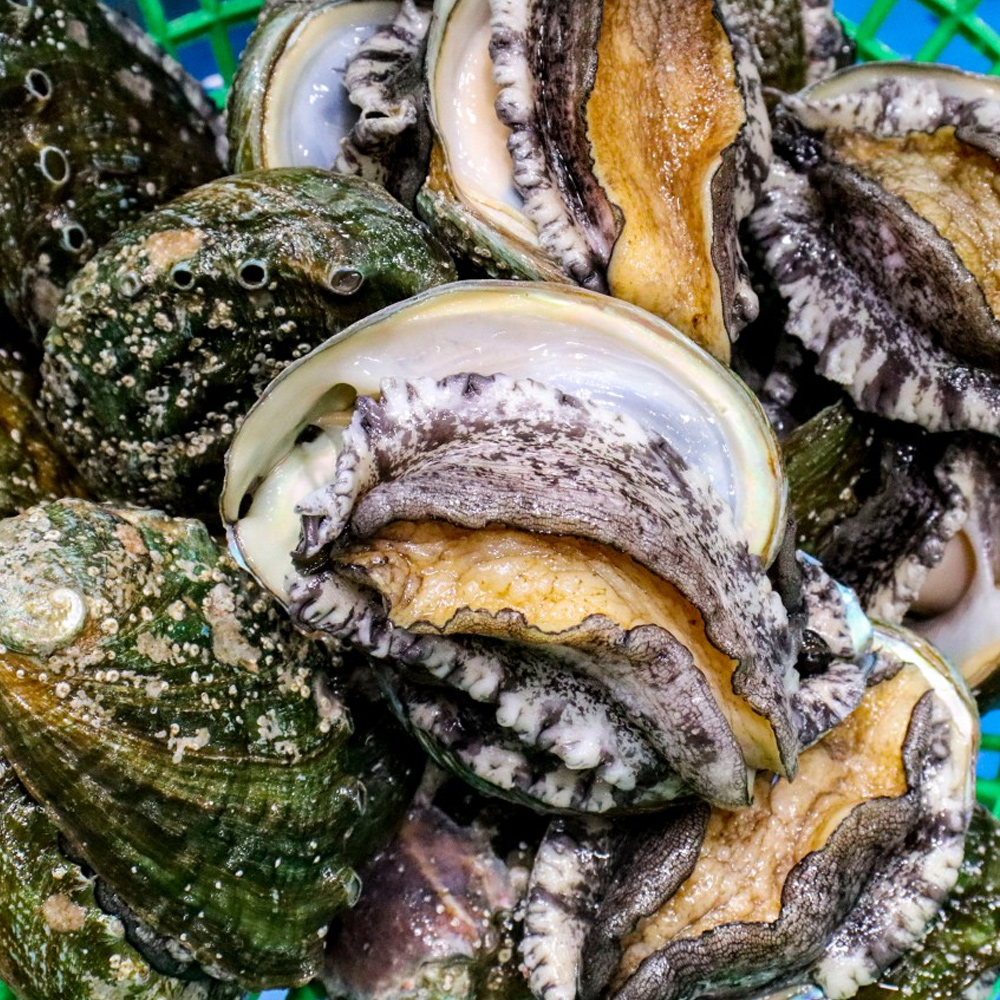 통영 국내산 전복 1kg (9-20미) 이미지 6