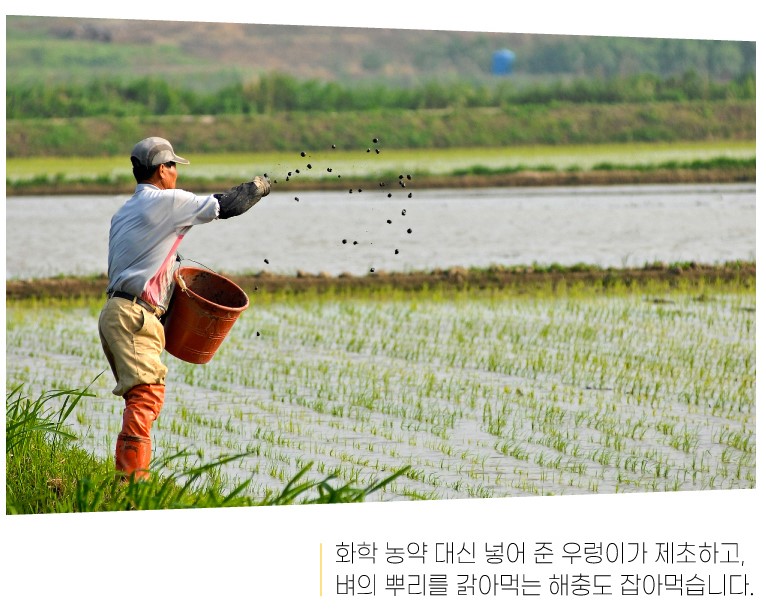 [김해봉하마을] 유기농 무농약 백미 봉하쌀 건강한밥상 맛있는밥 : 착한떡 공식홈페이지