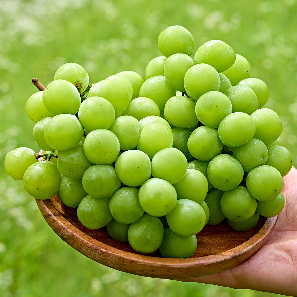 고당도 샤인머스켓 1kg 김천 망고포도 씨없는 청포도 - 상품 이미지