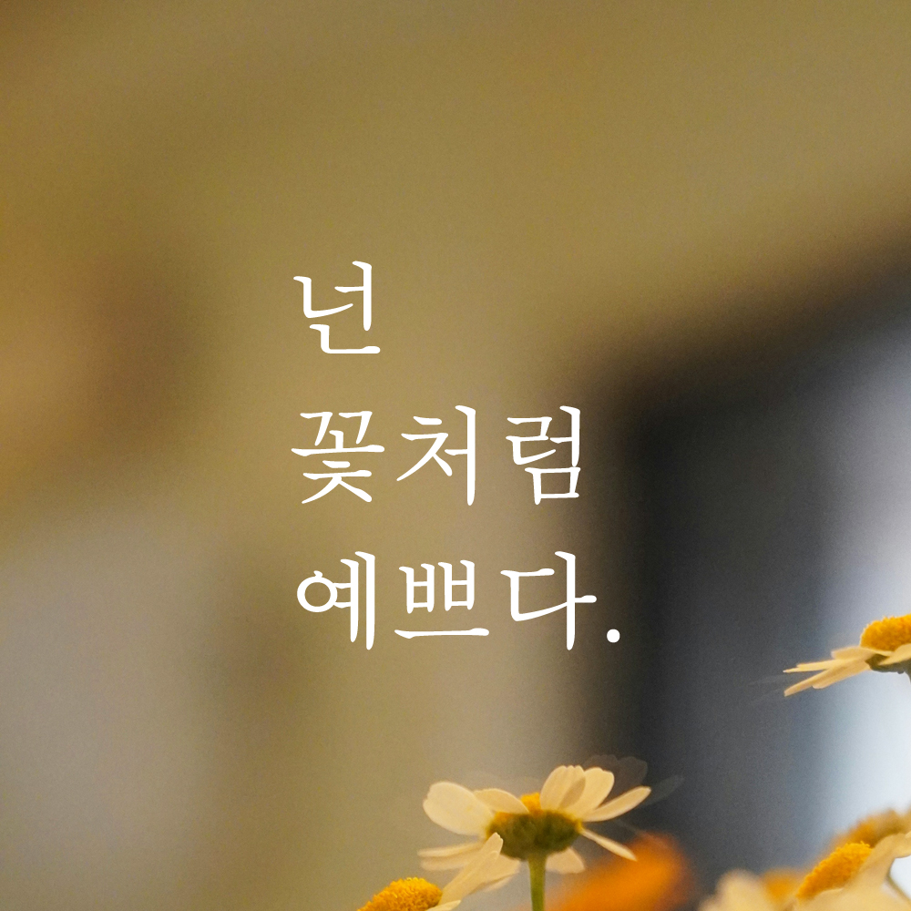 인테리어 포인트 감성 문구 레터링 스티커 넌 꽃처럼 예쁘다 L-040S 검정 - 상세 이미지 2