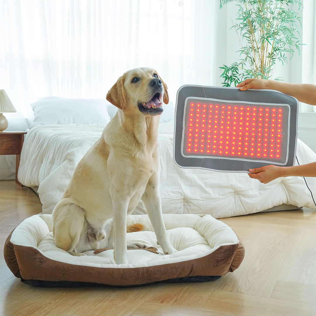 시리어스펫 슬개골 따땃패드 프로 강아지 고양이 디스크 근적외선 온열 찜질 조사기