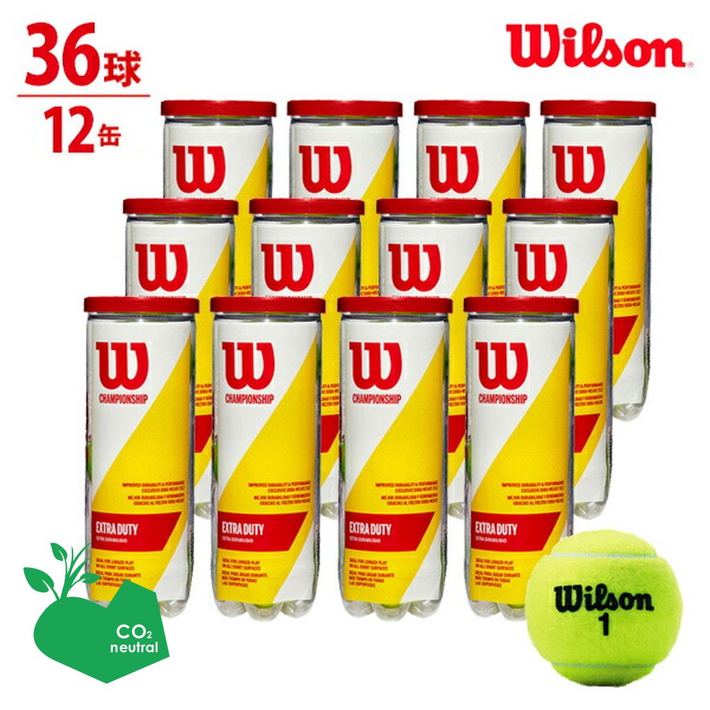 윌슨 WILSON EXTRA DUTY 테니스공 36구 엑스트라 듀티 WRT100101 - 상품 이미지