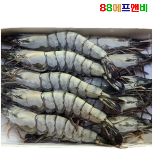 블랙타이거 새우 10미 500g 얼룩새우 킹 대왕 킹타이거새우