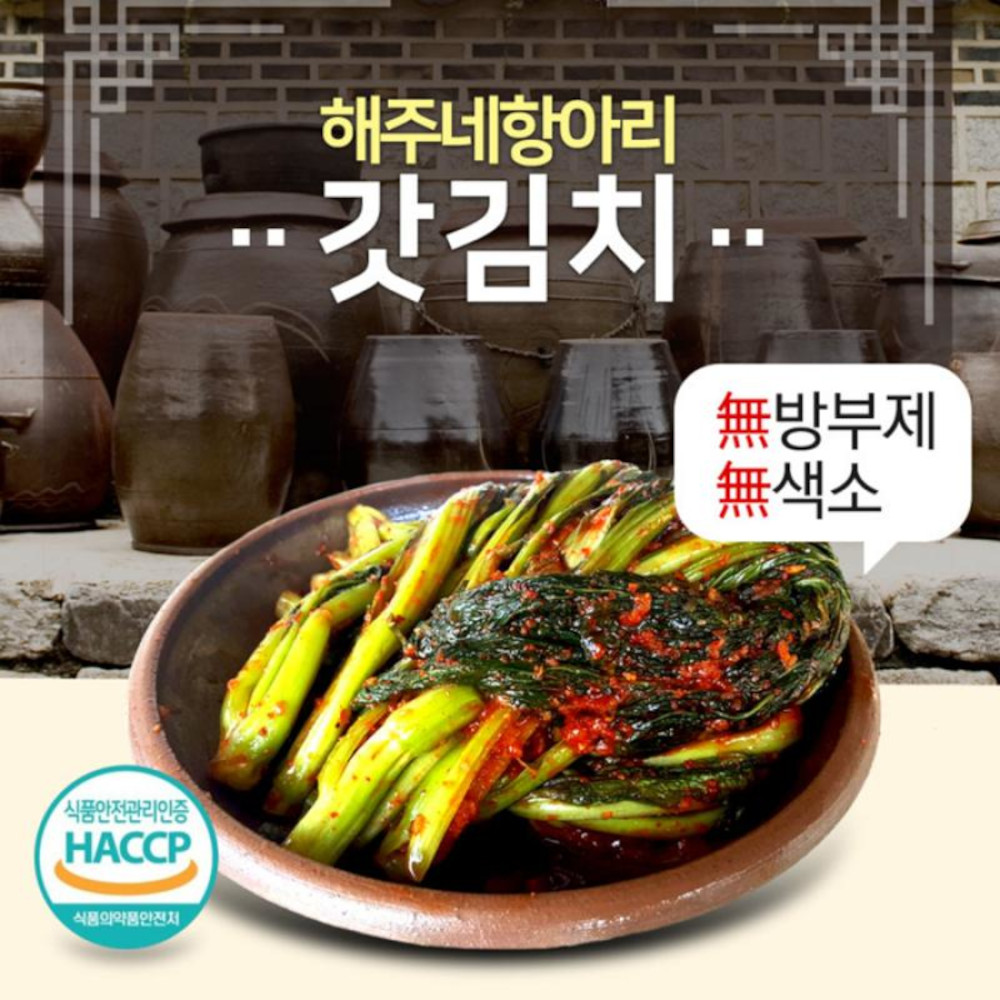 [해남미소] (주)해주물산 농업회사법인 갓김치 1kg : 해남미소