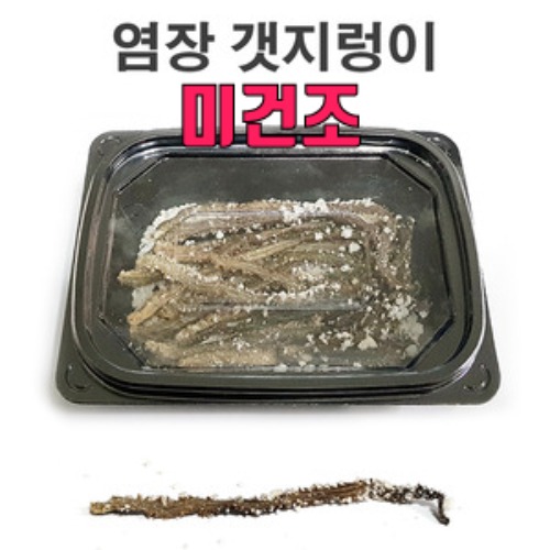 청안 갯지렁이 염장 미건조 60g 1팩 (소포장) 원투 바다 낚시 미끼 : 유정낚시
