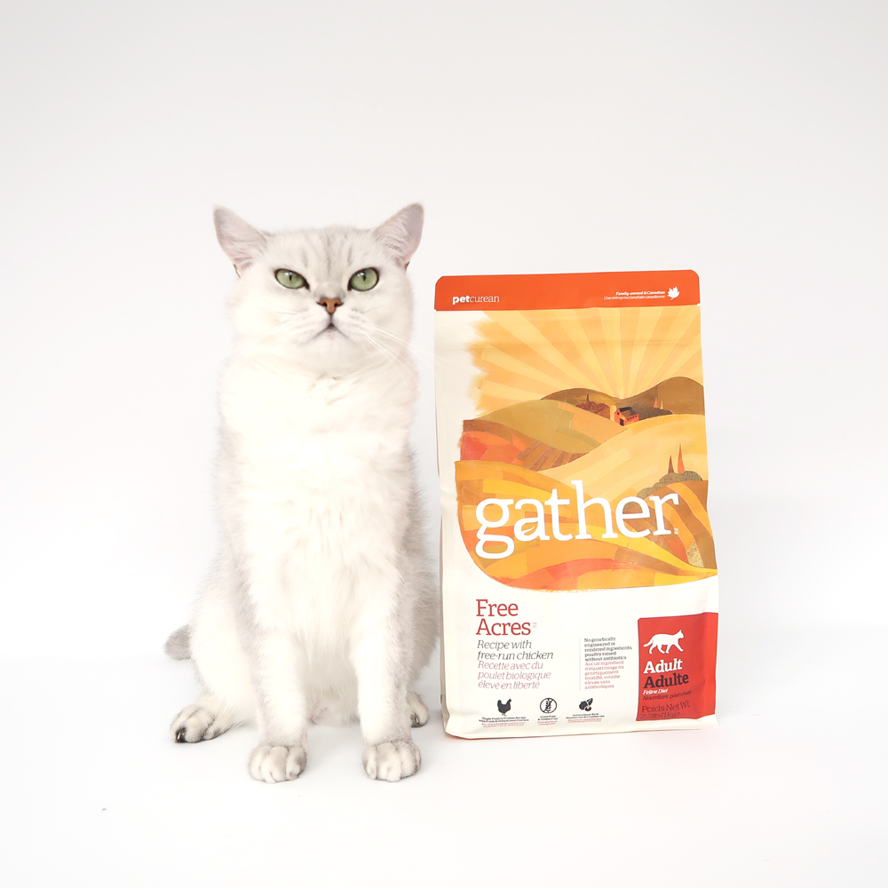 게더 프리에이커 캣 치킨 레시피 고양이 사료 1kg 고양이 유기농 건사료 - 상세 이미지 3