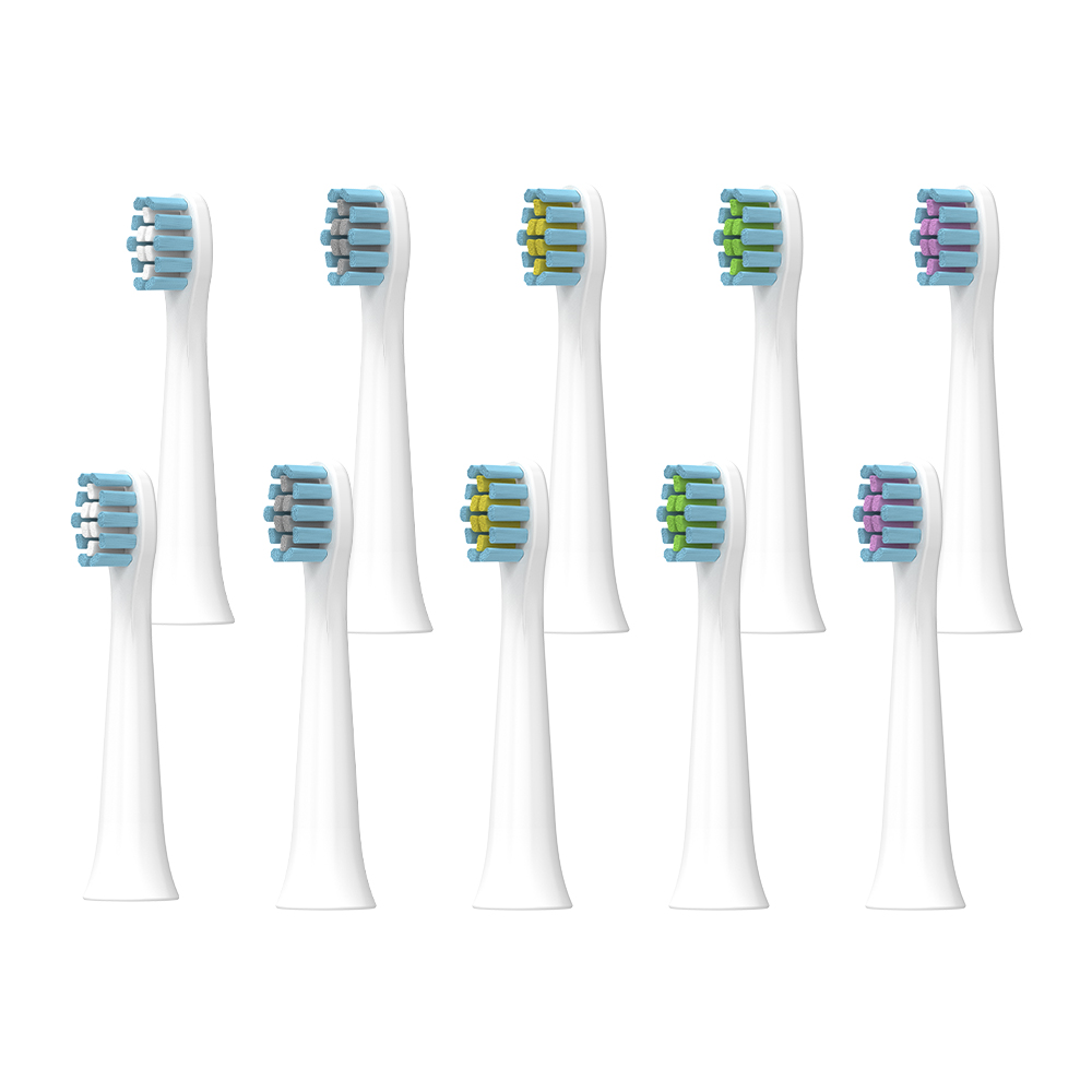 케어 ST10 C타입 충전식 방수 음파 진동 칫솔 교체용 칫솔모 10개입 제품 이미지