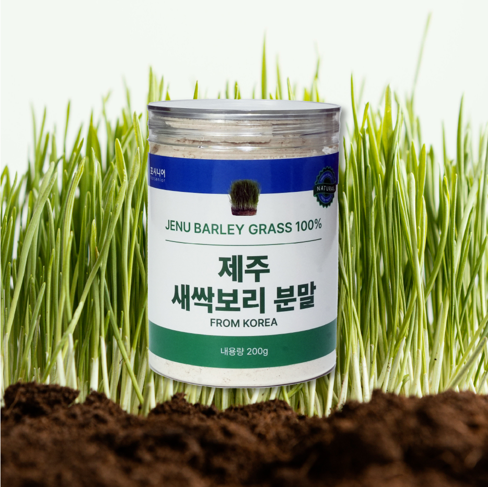 포시니어 국내산 제주도 새싹보리 분말 가루 파우더 보리 싹 100% - 상세 이미지 4
