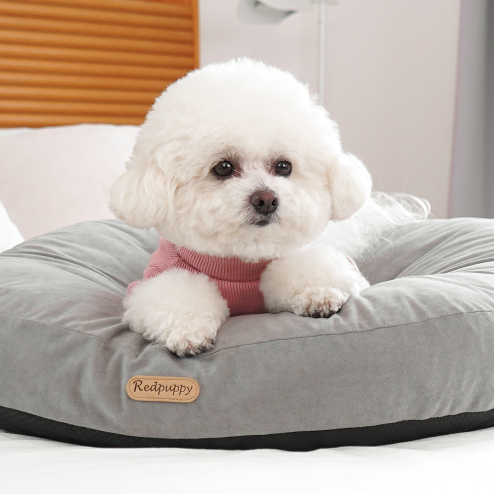 개과천선 플러피 강아지 방석 애견 중형견 사계절 꿀잠 도넛고양이 쿠션