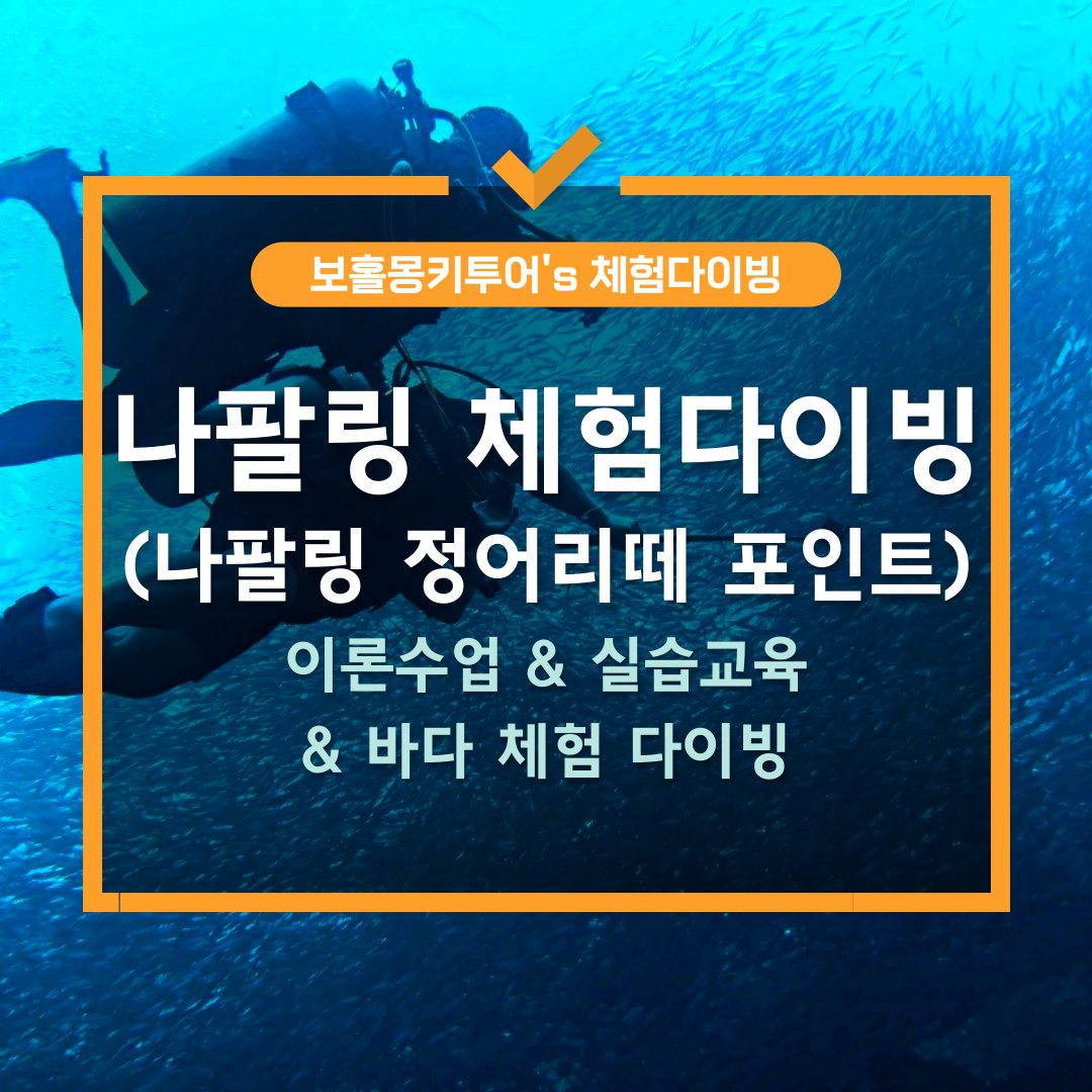 보홀 스쿠버다이빙 체험 나팔링 정어리 코스 (이론교육+실습교육) - 상품 이미지