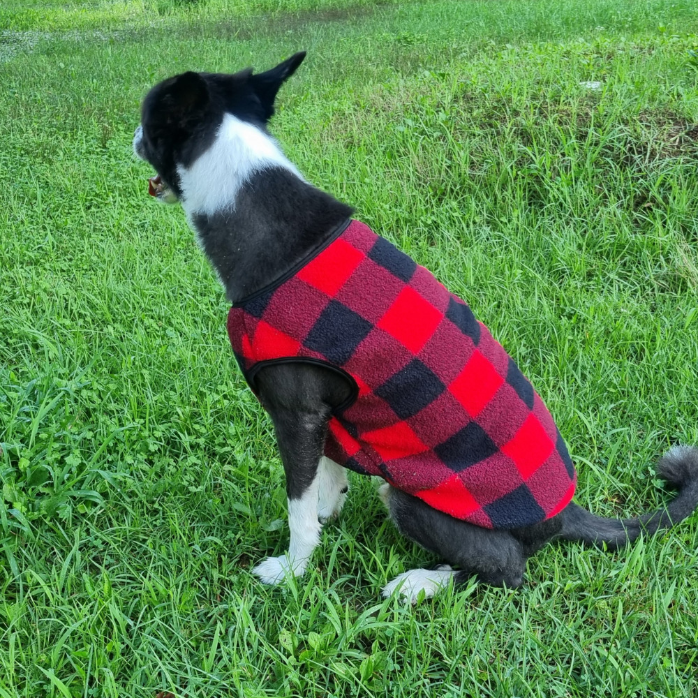 위드레오 강아지 겨울 조끼 대형견 옷 후리스 중형견옷 체크, 레드, S