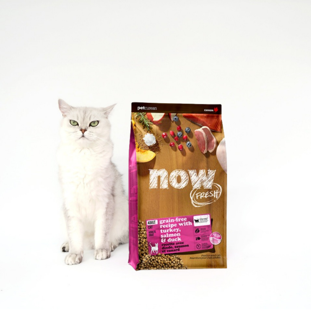 나우 프레쉬 고양이 건사료 어덜트, 1.36kg, 1개 - 상세 이미지 3