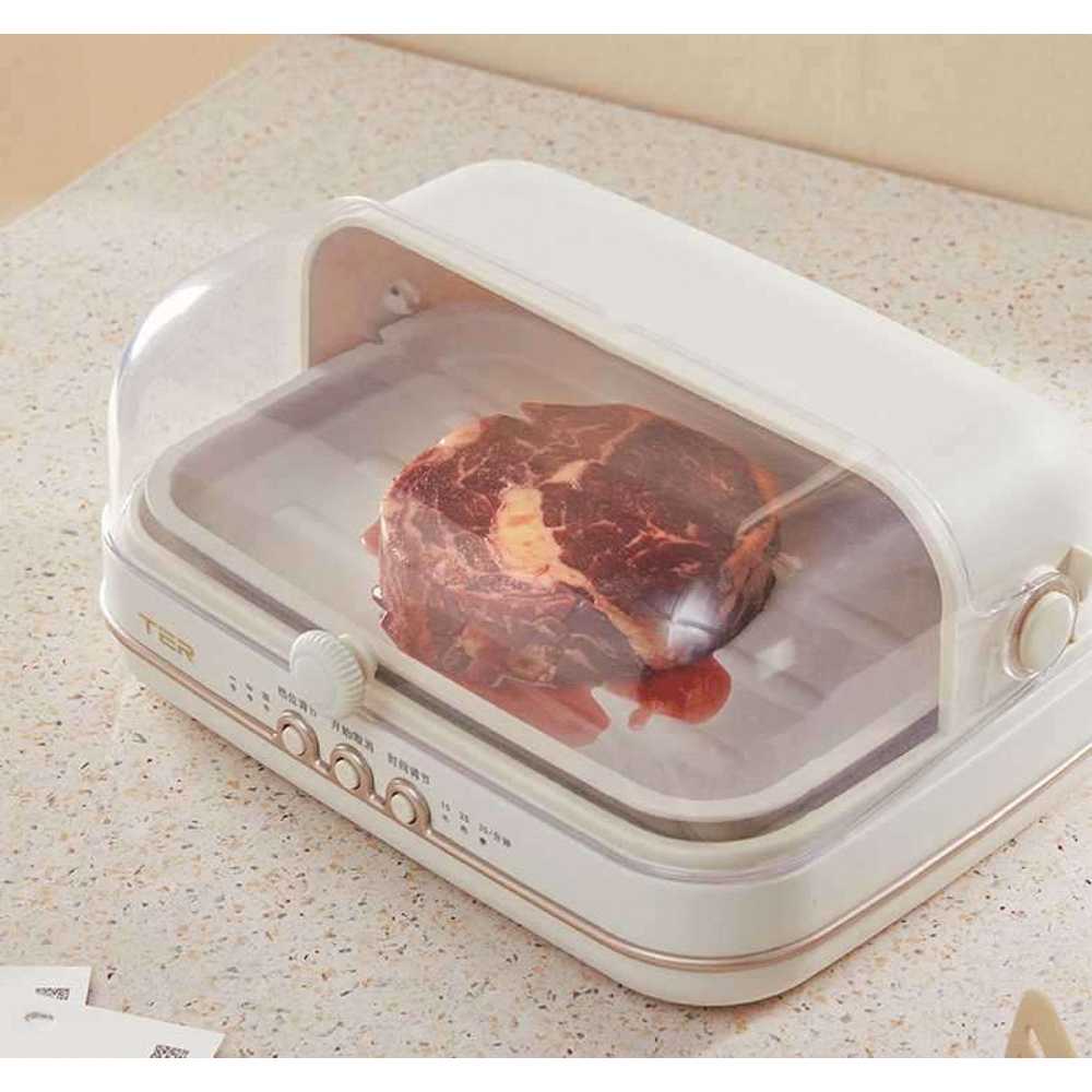 해동기 녹이기 냉동식품 생선 상품 주방 스테이크 언고기 : 새싹-마켓