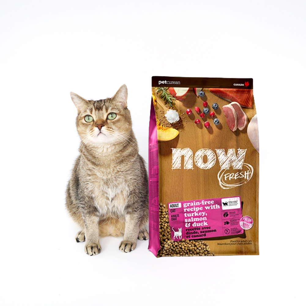 나우 프레쉬 고양이 건사료 어덜트, 1.36kg, 1개 - 메인 이미지