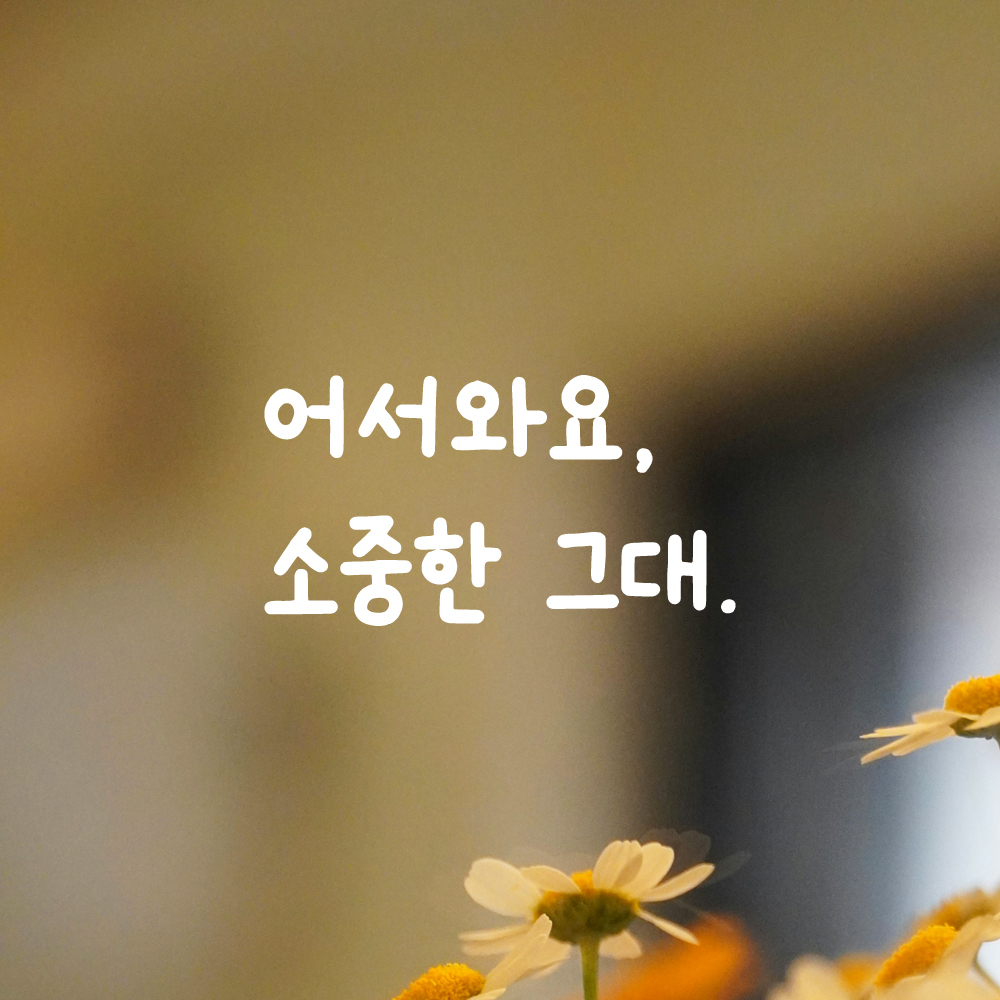 인테리어 귀여운 손글씨 벽 레터링 스티커 어서와요 소중한 그대 LMM-086S 검정 - 상세 이미지 2