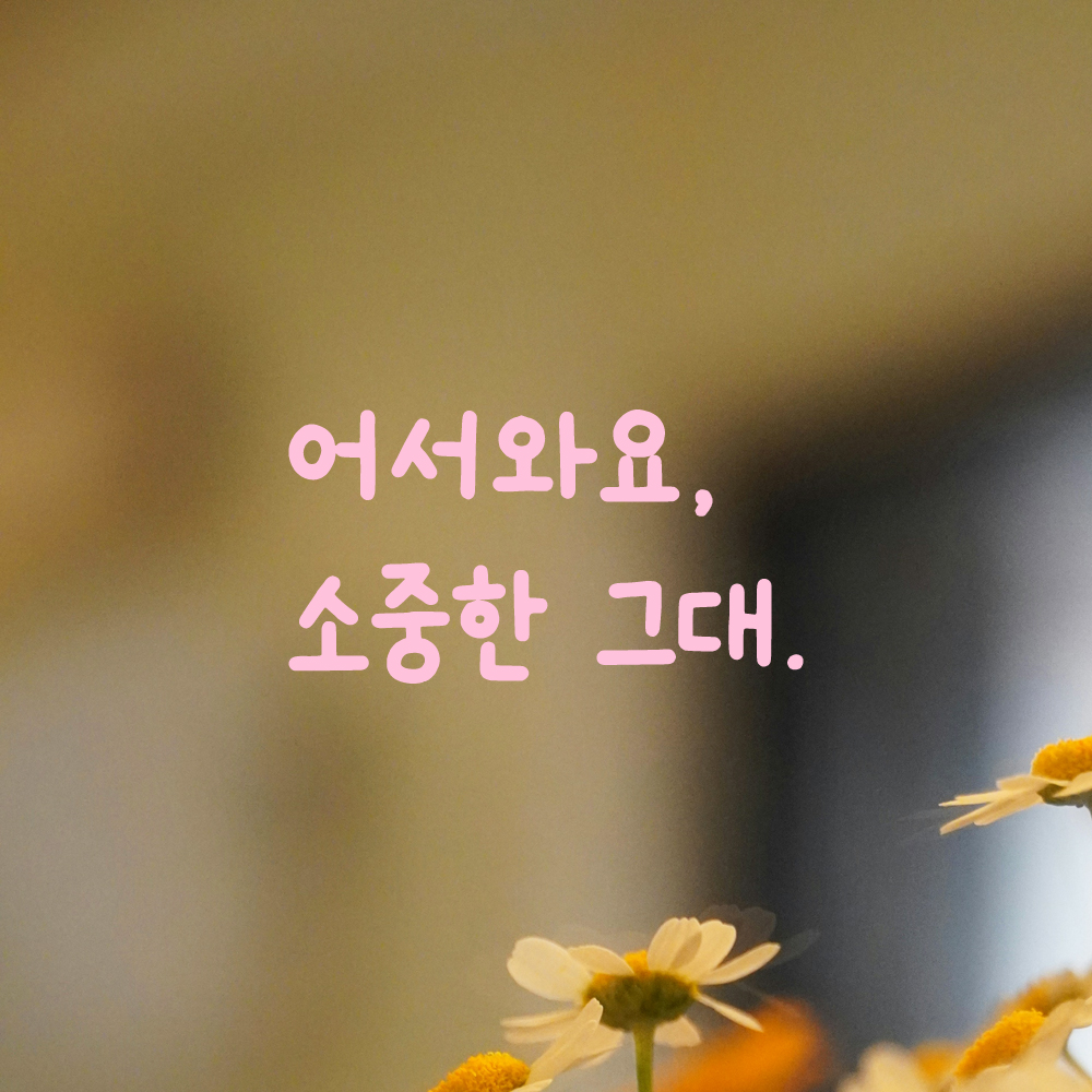 인테리어 귀여운 손글씨 벽 레터링 스티커 어서와요 소중한 그대 LMM-086S 검정 - 상세 이미지 4