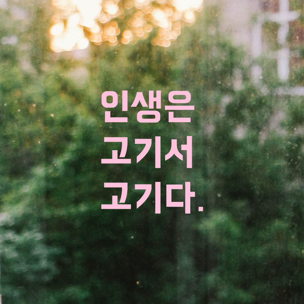 인테리어 포인트 뉴트로 레터링 스티커 인생은 고기서 고기다 LN-031S 검정 - 상세 이미지 4