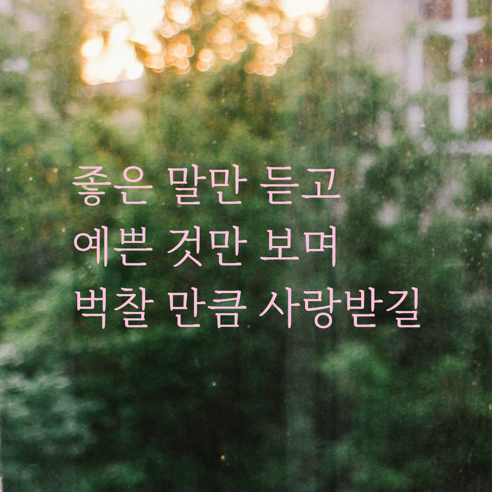 좋은 말만 듣고 벅찰 만큼 사랑받길 예쁜 글씨 레터링 스티커 LM-058S 검정 - 상세 이미지 4