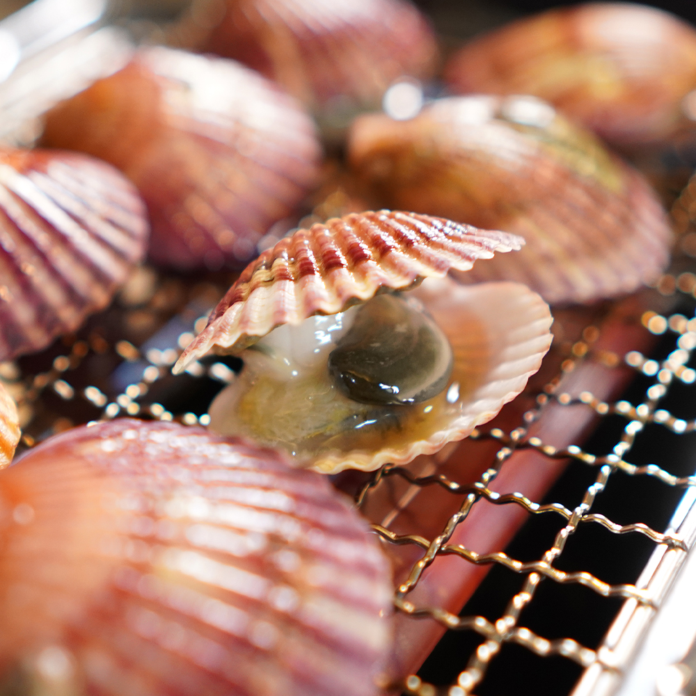 통영 홍가리비 세척 선별 비단 가리비 조개 구이 1kg, 1개