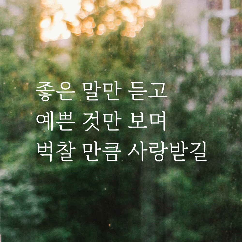 좋은 말만 듣고 벅찰 만큼 사랑받길 예쁜 글씨 레터링 스티커 LM-058S 검정 - 상세 이미지 3