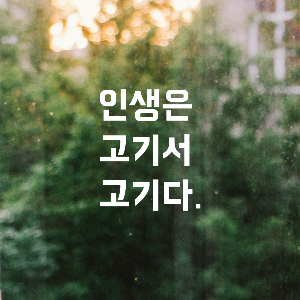 인테리어 포인트 뉴트로 레터링 스티커 인생은 고기서 고기다 LN-031S 검정 - 상세 이미지 2