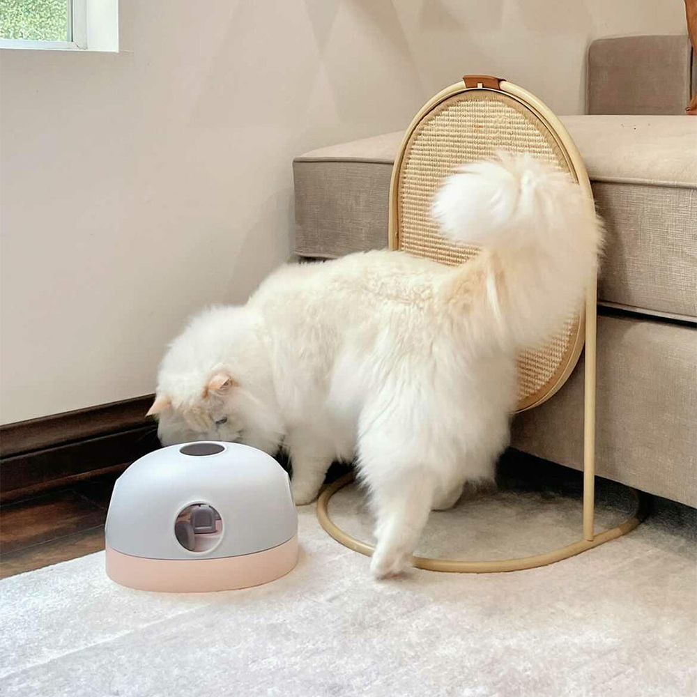 MIAMIA 홀라 고양이 먹이퍼즐 노즈워크 장난감 서킷 - 상세 이미지 3