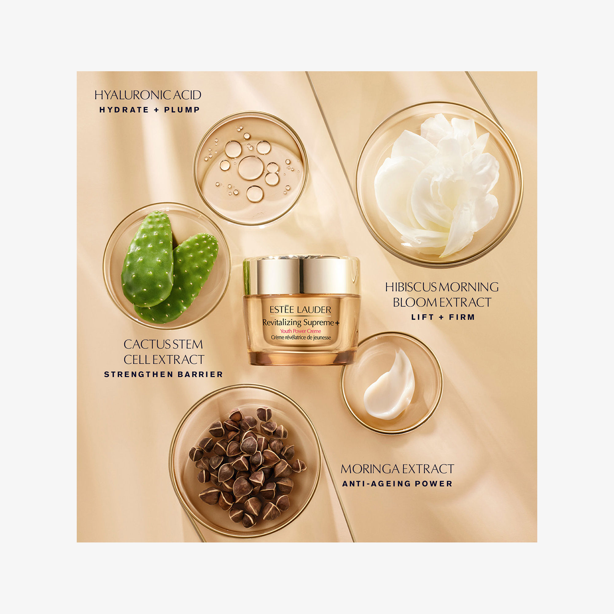 에스티로더 리바이탈라이징 수프림플러스 유스 파워 크림 모이스처라이저 50ml : 담다:DAMDA