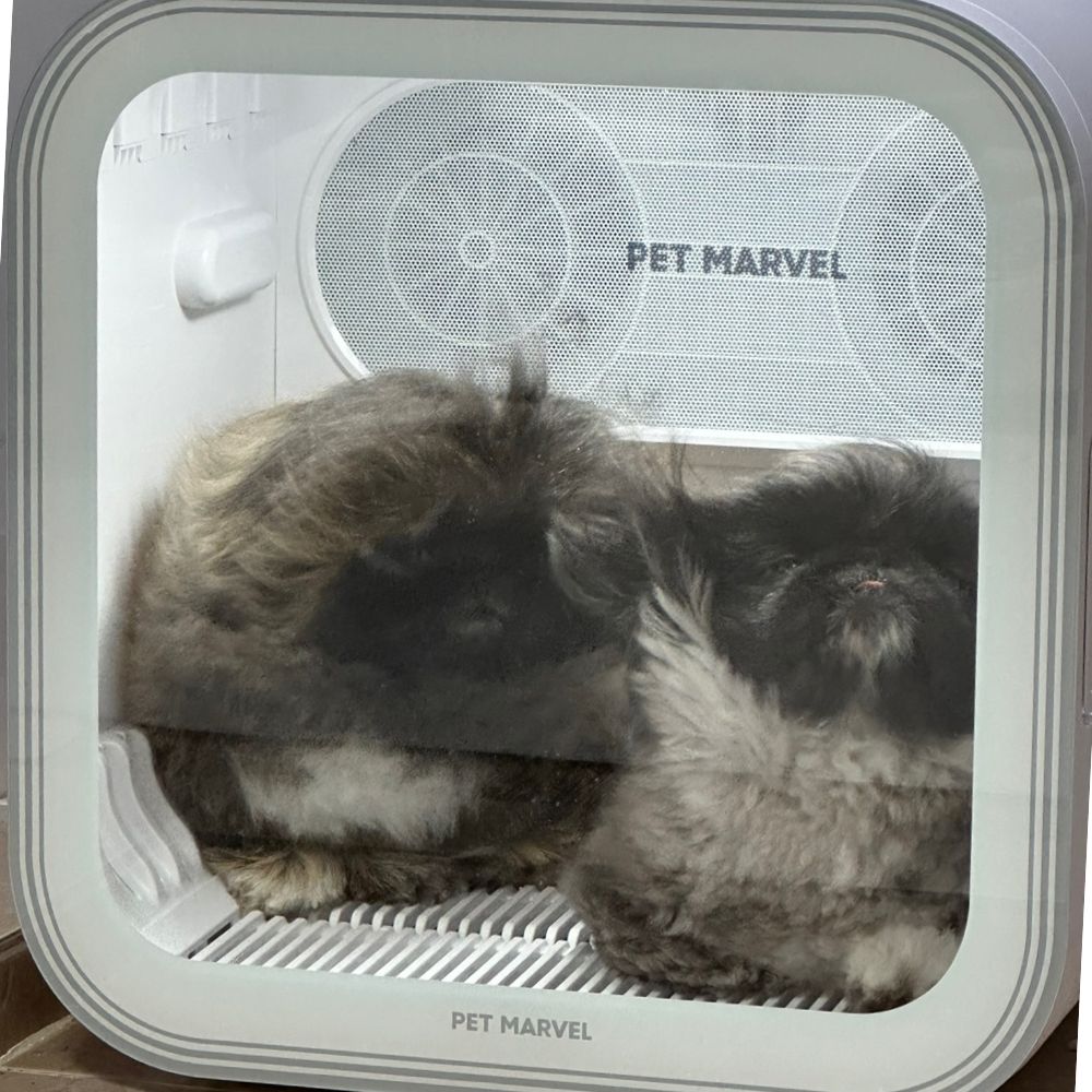 [디클펫] 펫드라이룸 듀얼팬 빠른건조 강아지 고양이 드라이기 펫마블 러브에어 프로