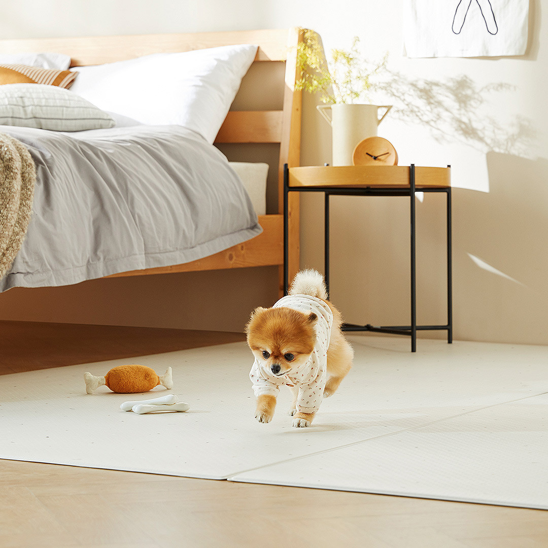 펫토 강아지매트 강아지 고양이 미끄럼방지 애견 클린펫 매트 미니복도형 (140cmx100cm)
