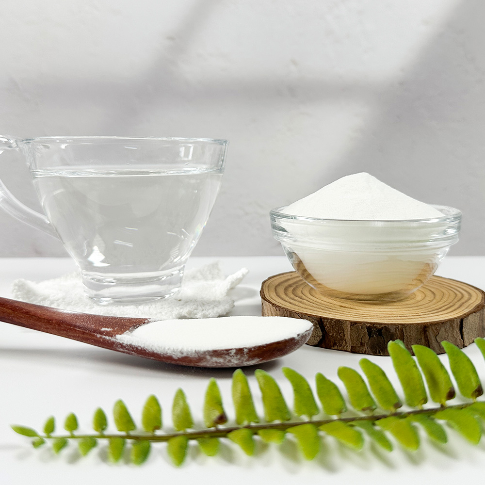 대용량 치커리 뿌리 추출물 가루 분말 500g - 상세 이미지 4
