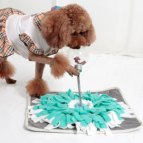 더플래 분리불안 해소 실버킹 강아지 노즈워크