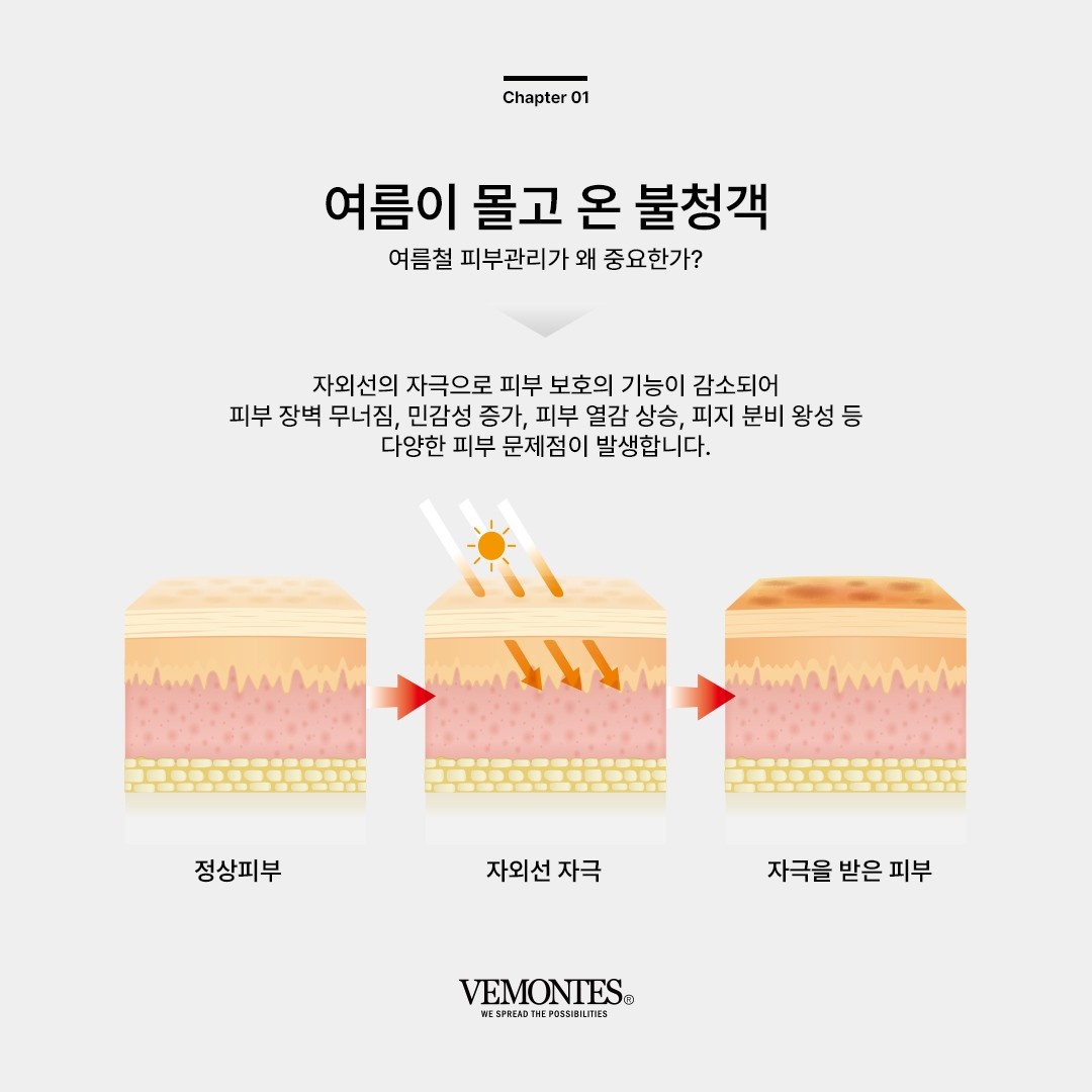 베몽테스 파이톤 세럼 수분겔 500ml 대용량 피부진정 모공수축 얼굴열감 속당김 붉음증개선 - 상세 이미지 2