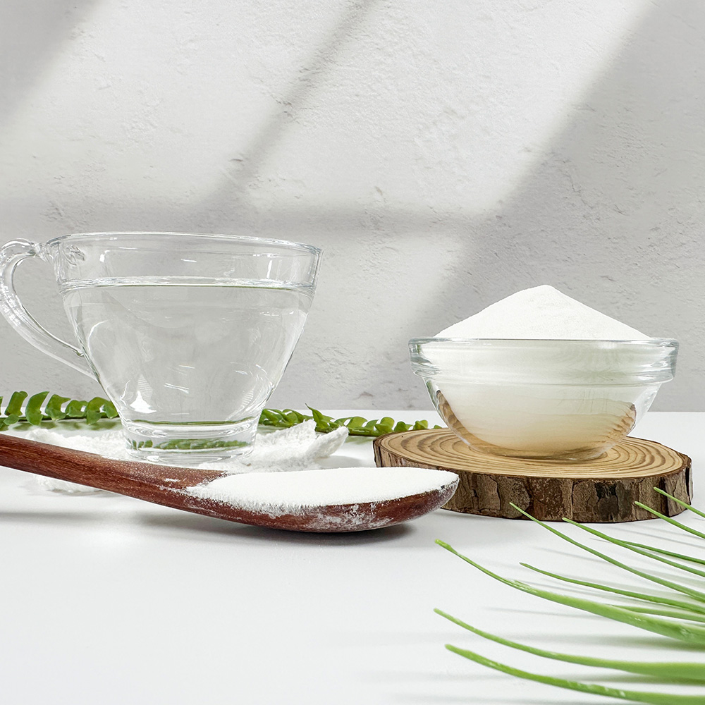 대용량 치커리 뿌리 추출물 가루 분말 500g - 상세 이미지 2
