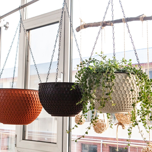 행잉 화분 아이비 스킨답서스 호야 립살리스 실내화분 planter 행잉중 - 상품 이미지